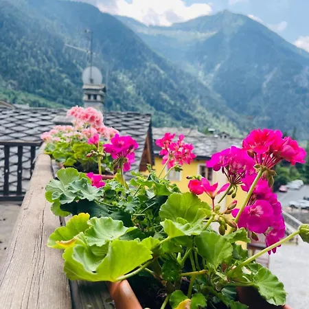Monte Rosa Lys *